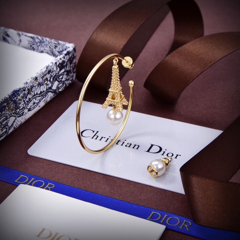 Christian Dior Earrings